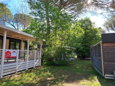 belvedere-pineta-camping-village-mobile-home-premium-l-surrounding-area
