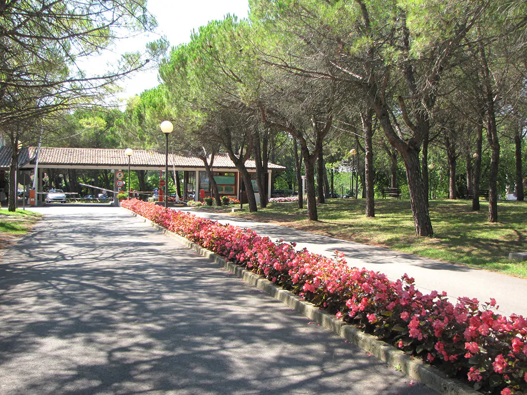 belvedere-pineta-camping-village-reception