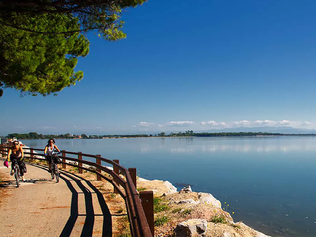 belvedere-pineta-camping-village-rent-a-bike