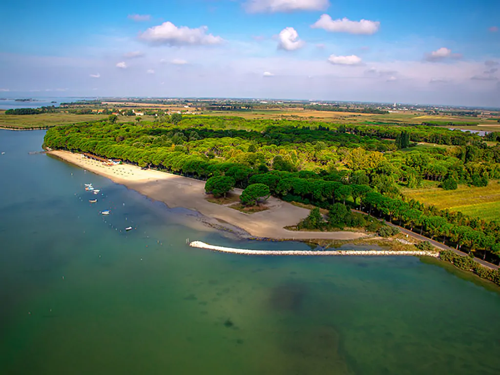 belvedere-pineta-camping-village-view-from-above-beach