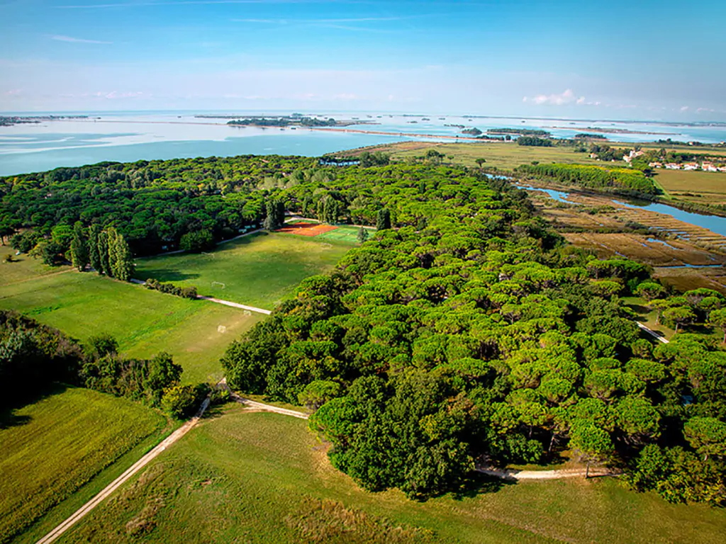 belvedere-pineta-camping-village-view-from-above-woods