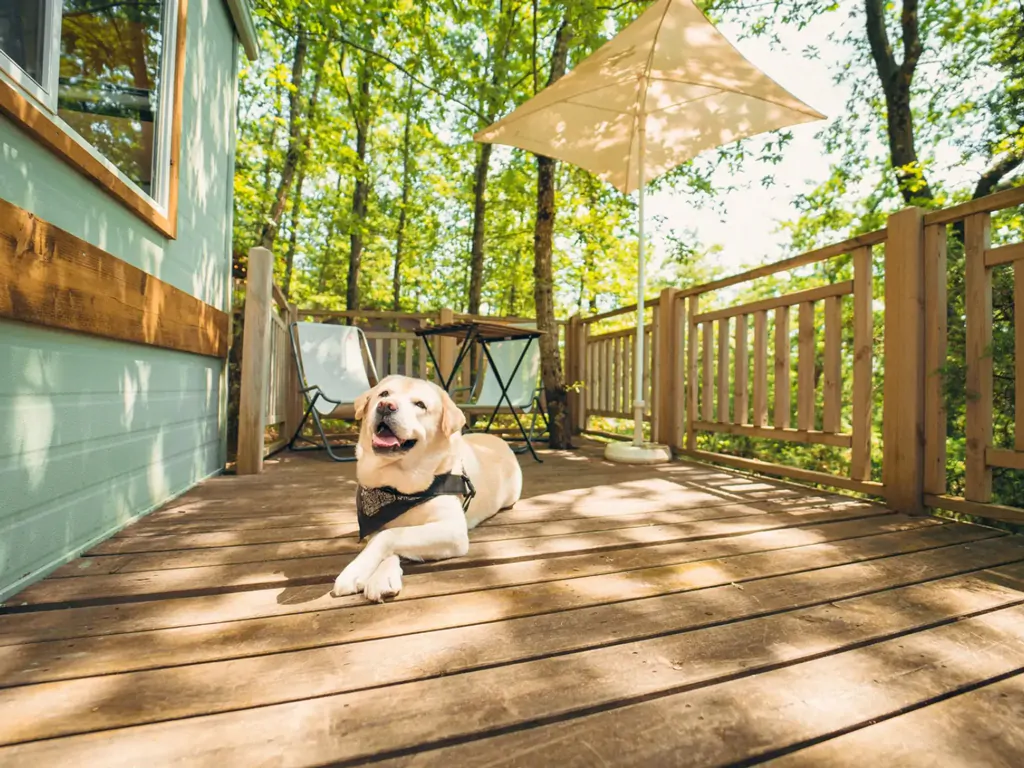 cottage-classic-terrace-with-gentleman-dog