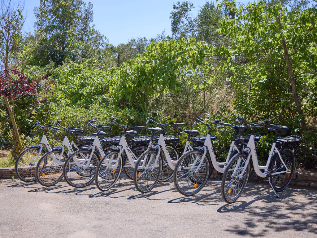 camping-costa-d-argento-bicycles