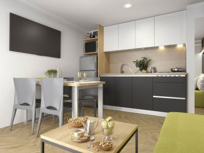 campsite-kozarica-mobile-home-premium-interior-kitchen