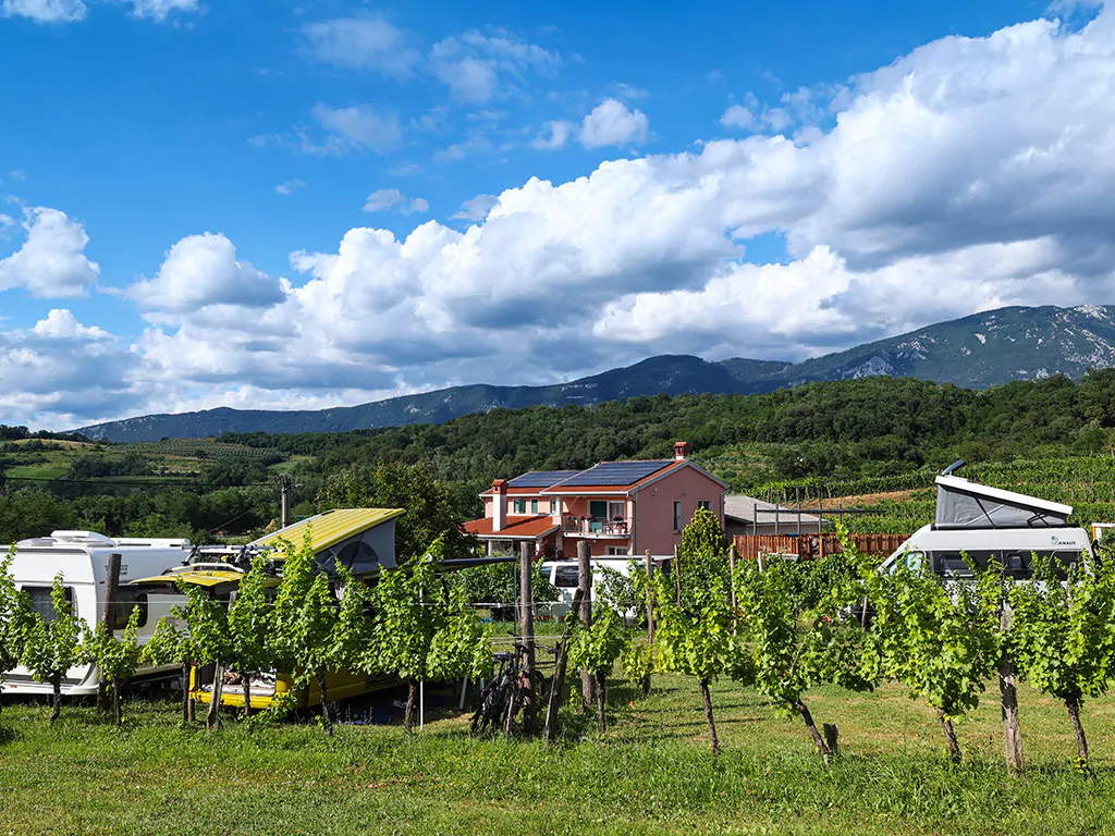 saksida-wine-camping-resort-tents-nature-iv