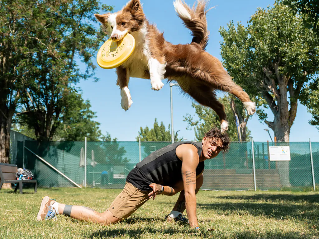 tenuta-primero-dog-training