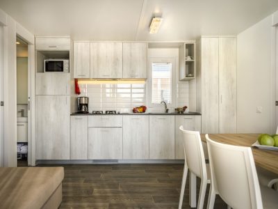 campsite-valkanela-mobile-home-comfort-exterior-kitchen