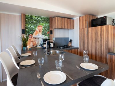 mobile-home-sunlodge-catalpa-interior-kitchen-6