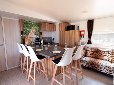 mobile-home-sunlodge-catalpa-interior-kitchen-dining-table-view
