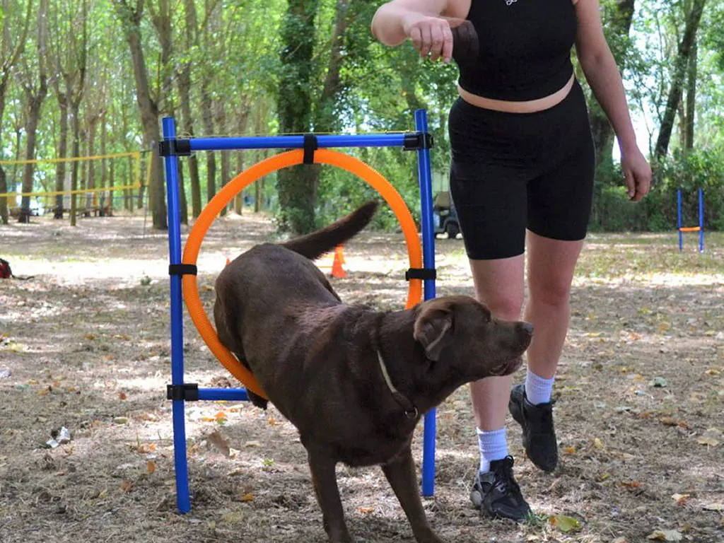 camping-village-punta-novaccia-training-dog-2