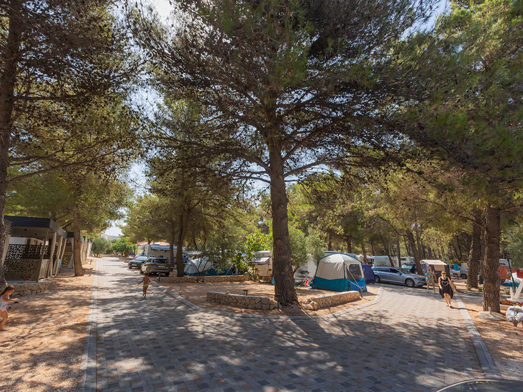 campsite-jasenovo-path-people