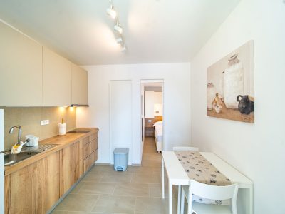 camping-arti-homes-rab-mobile-home-arti-studio-one-interior-dinning-table