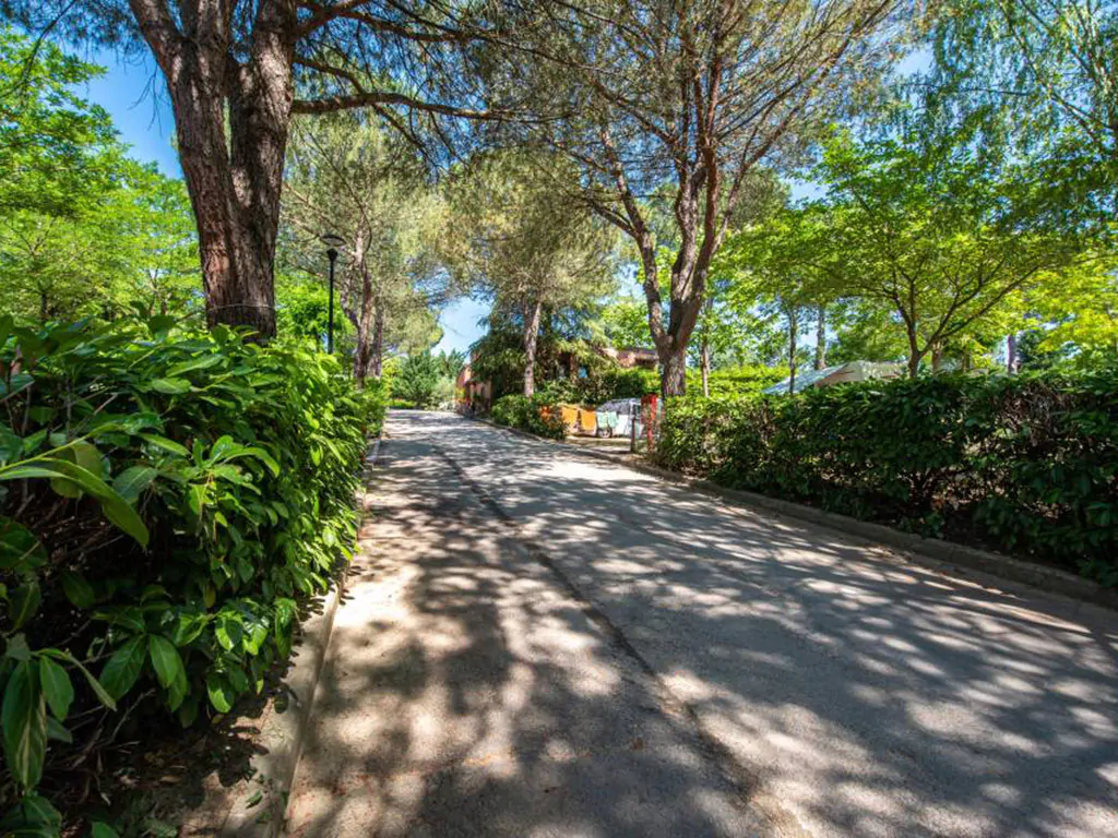 camping-village-il-poggetto-exterior-path