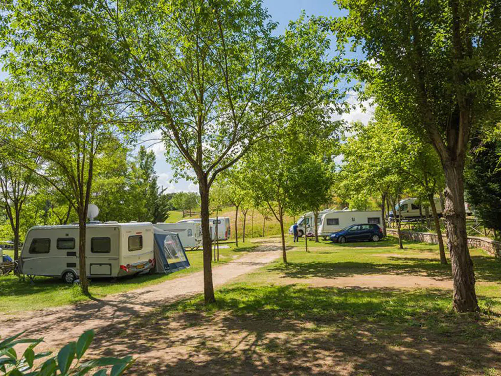 camping-village-il-poggetto-exterior-trees