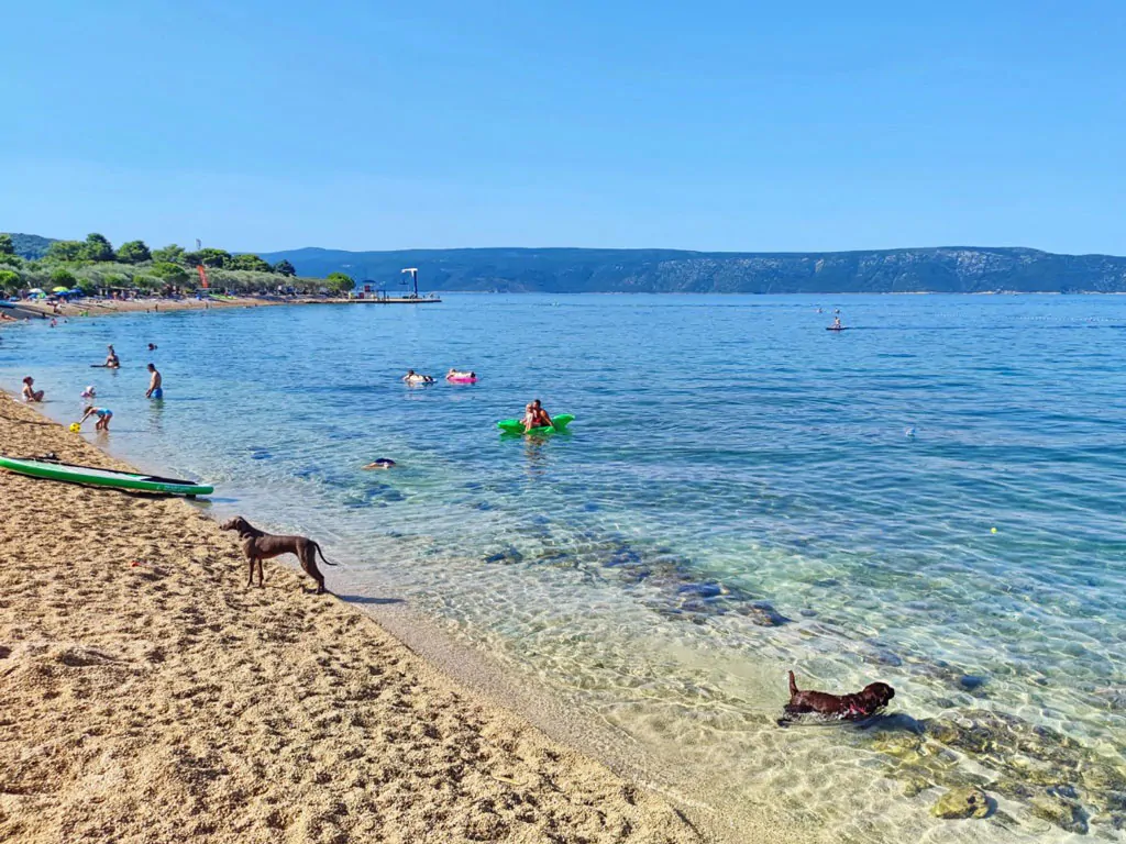 campsite-kovacine-dogs-beach