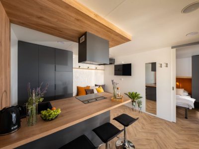 campsite-terra-park-phalaris-mobile-home-lapis-premium-holiday-home-pool-interior-kitchen