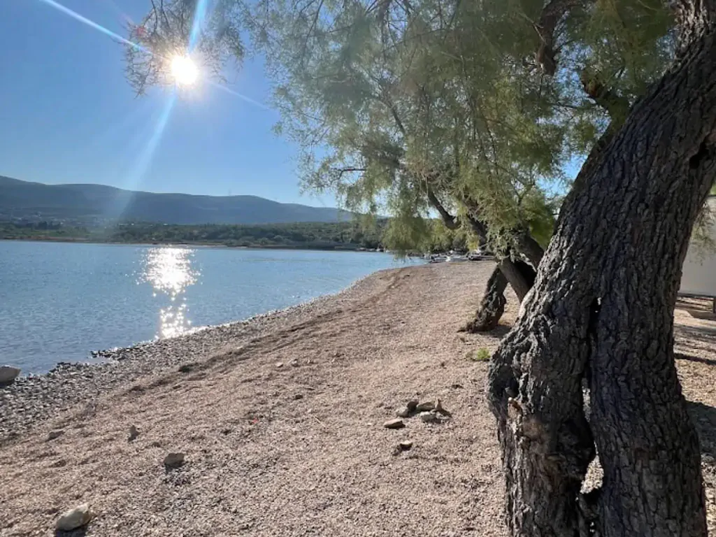 camping-karin-beach-tree-sun