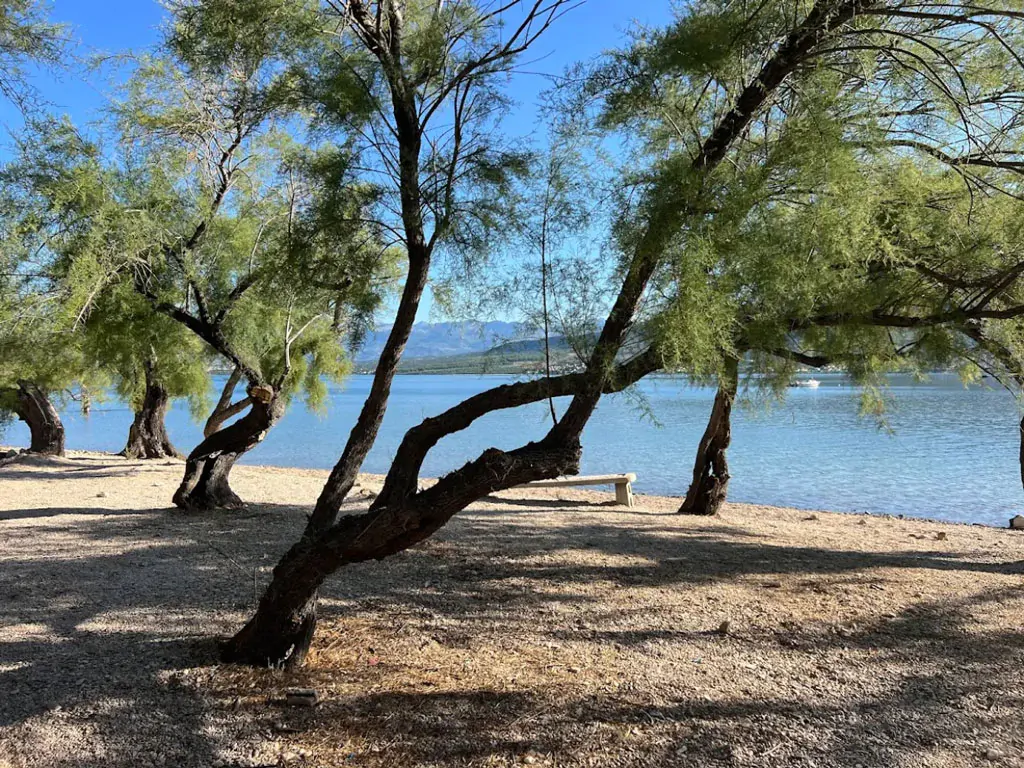 camping-karin-beach-trees