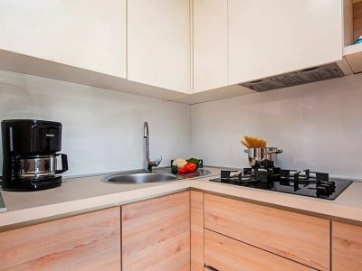 camping-puntica-mobilehome-comfort-for-six-interior-kitchen-stove